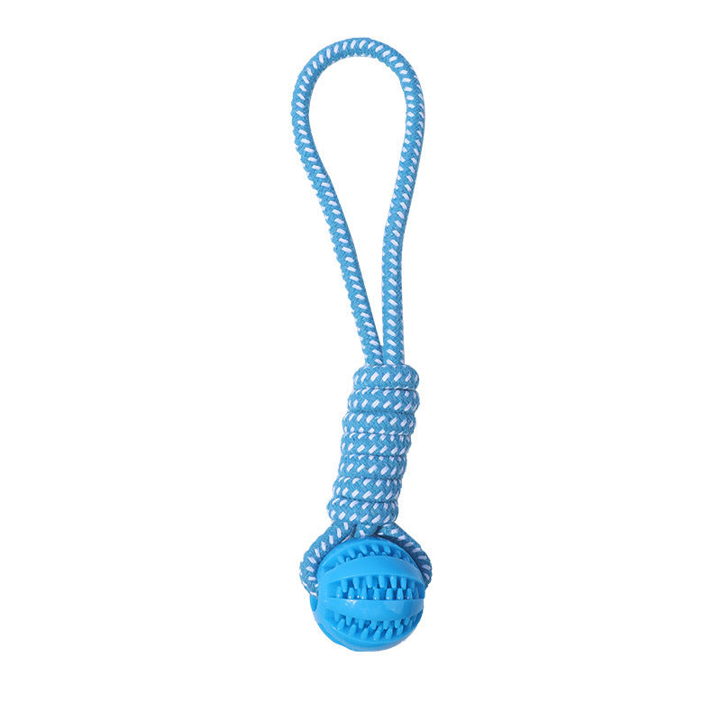 Juguetes Interactivo